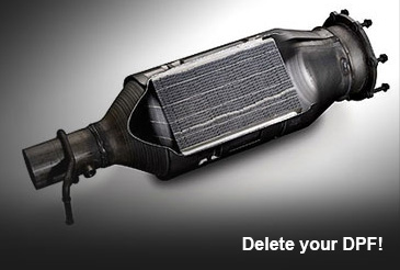 remap extras dpf removal